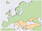 Areál mravence lužního (Liometopum microcephalum). Upraveno podle podkladů J. Schlaghamerského