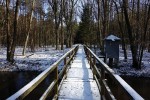 Expozice s ohledem na minimalizaci rizika přepalů světlem způsobuje ztrátu kresby ve stínech. Foto T. Kučera