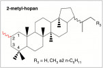Vzorec sloučeniny, která by mohla indikovat první fotosyntetizující rostliny (biomarker, nebo molekulární fosilie). Sloučenina musí být stabilní v čase a při slabé metamorfóze. Podle webové stránky Kalifornského technologického institutu, Caltech (přesný odkaz uveden výše u seznamu literatury), kde najdete i více zajímavých informací o biomarkerech. Orig. K. Holcová