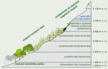 Národní park Rwenzori –  vertikální vegetačně-ekologické stupně.  Orig. M. Brabencová. Podle: R. W. Bussmann (2006), upraveno
