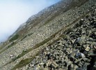 Plachetnatka suťová (Wubanoides uralensis) – Sněžka, místo výskytu v Krkonošském národním parku. Foto V. Růžička