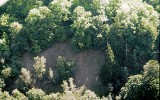 Plachetnatka Rosenhauerova  (P. rosenhaueri), lokalita v CHKO Křivoklátsko. Foto V. Růžička