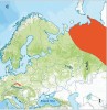 Plachetnatka suťová (Wubanoides uralensis), západní část areálu tohoto druhu (červeně). Orig. V. Růžička