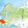 Plachetnatka dutinková (Porrhomma microcavense) areál druhu. Orig. V. Růžička