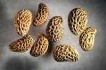 Nezuhelnatělá semena malin a ostružin (Rubus idaeus, R. fruticosus agg.) z doby železné, nalezená v cisterně  na akropoli laténského hradiště Vladař. U maliny mají spíše rohlíčkovitý tvar,  ostružiny jsou okrouhlejší. Foto P. Pokorný