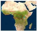 Rozšíření kančilů rodu Hyemo­schus  Orig. J. Pluháček  na základě více zdrojů, především ale Červeného seznamu IUCN
