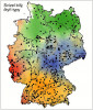 Druh vykazující jasný geografický trend. Svízel bílý (Galium album) s kombinací obou typů gradientů. Orig. W. Durka, S. Michalski a J. Höfner