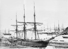 Na Nový Zéland vozily ptáky především plachetnice, jako tato Wild duck (Divoká kachna), která v r. 1869 přivezla klece s ptáky do Wellingtonu. Několikrát se ale na plavbu vydaly i parníky, těm cesta trvala podstatně kratší dobu. http://mp.natlib.govt.nz/detail/?id=5779&l=en, převzato v souladu s podmínkami použití