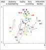 Ordinace fytocenologických snímků ze sukcesních sérií trvajících alespoň 25 let. Šipky spojují centroidy stadií starých 1–10, 11–25 let a starších. Vyneseny jsou průměrné polohy odpovídajících snímků přirozené vegetace a na horním okraji rozložení přirozené vegetace ze snímků z České národní fytocenologické databáze (blíže v textu). Stanoviště: 20 – ostravské výsypky, 21 – požářiště; ostatní viz předchozí obr. Orig. K. Prach a M. Prach
