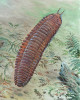 Rekonstrukce obří karbonské mnohonožky rodu Arthropleura. Tito velcí členovci obývali v karbonu a raném permu otevřenější prostředí podél vodních toků s řídce rostoucí vegetací. Orig. rekonstrukce J. Svoboda 
