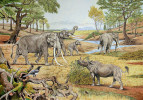 Savanový typ vegetace z minulého interglaciálu na jihu Německa ukazuje krajinu bez požárů. O odstraňování biomasy se postarali např. vyhynulí chobotnatci rodu Palaeoloxodon nebo nosorožci rodu Stephanorhinus. Orig. E. Gröning, použito s laskavým svolením