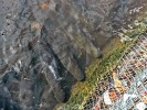 Arapaimy chované pro tržní účely v závěsných sítích v plovoucí vesnici při soutoku Rio Solimões a Rio Negra. Foto J. Moravec