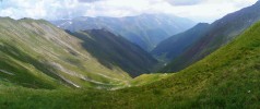 Pohled na lokalitu řeřišničníku Hallerova (Arabidopsis halleri) z pohoří Fagaraš, která přispěla k odhalení významné role Karpat ve formování  biodiverzity tohoto druhu po poslední době ledové. Foto G. Šrámková