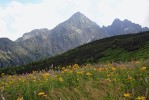 Klimatické oscilace v období glaciálů a interglaciálů vedly k dynamickým  změnám areálů jednotlivých rostlinných i živočišných druhů, ve kterých hrály evropské hory významnou úlohu. Belianské Tatry. Foto G. Šrámková