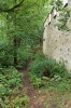 Plši velcí nejsou na Petříně rozšířeni rovnoměrně, soustřeďují se mimo jiné v okolí Hladové zdi. Foto M. Anděra