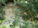 Odkryté sedimenty svrchní křídy v malém lomu na lokalitě Kněžnice. Foto M. Košťák 