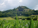 Západní svah přírodní památky Zebín s odkrytým bývalým lomem. Foto V. Košťáková