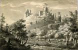 Týřov v 19. století. Malba od Josefa Šembery z r. 1824 zobrazuje kulturní krajinu parkového charakteru s ořezávanými stromy v údolí Úpořského potoka a bezlesý jihovýchodní svah pod zříceninou. Vyobrazená krajina je dnes zcela zalesněna.