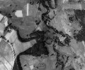 Zarůstající říční krajina. Niva Lužnice (141 říčních km mezi Dvory  nad Lužnicí a Novou Vsí nad Lužnicí) v letech 1952 (na obr.) a 2009 (následující obr.). Foto z archivu D. Pitharta