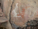 Skalní malba klokana v Burrunggui (dříve Nourlangie Rock)  v národním parku Kakadu v australském Severním teritoriu. Jednotlivé druhy klokanů rozličné velikosti  získaly v jazycích  domorodých Austrálců z různých částí  kontinentu řadu jmen, jako ganguru, wallaby, warabi, walaru, gwaga, badimaliyan. Mnohá z těchto  označení byla zdrojem i pro české zoologické názvosloví – třeba klokani parma, dama, pademelon  nebo quokka. Foto S. Bílý