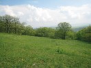 Komárkova lesostep v národní přírodní rezervaci Karlštejn (Český kras). Mimo další vzácné druhy organismů zde žijí slíďák úhorní (A. accentuata), s. tlusto­nohý (A. cuneata), s. křovinný (A. trabalis) a s. Sulzerův (A. sulzeri). Foto P. Just