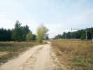 Národní přírodní památku Váté písky u Bzence lemuje železniční koridor. Jde o území bohaté na vzácné pískomilné živočichy, ze slíďáků rodu Alopecosa zde najdeme s. borového (A. aculeata), s. pískomilného (A. psammophila), s. Schmidtova  (A. schmidti), s. slunomilného (A. cursor), s. šedého (A. pulverulenta), s. úhorního (A. accentuata) a s. tlustonohého (A. cuneata). Foto P. Just