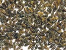 Jedinci lýkožrouta smrkového (Ips typographus) odebraní z feromonových lapačů. Foto K. Lukášová