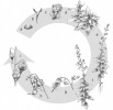 Životní cyklus: semeno (a), semenáček (b), listy juvenilní rostliny (c), sterilní lodyhy (d), tvorba květenství (e), kvetoucí lodyha (f), detail květu (g), tobolky (h), zaschlé tobolky po vysypání semen (i). Orig. Š. Teplá