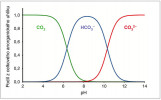 Relativní koncentrace jednotlivých forem rozpuštěného anorganického uhlíku (blíže v textu) v rámci uhličitanové rovnováhy v závislosti na pH vody při teplotě 25 °C. Celkový součet forem je vždy 100 %. Orig. A. Šolcová 