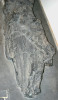 Větvený vrchol fosilizovaného Prototaxites loganii ze středního devonu. Bellvale Sandstone, blízko Monroe, New York. Foto G. J. Retallack (2013), převzato z Wikimedia Commons, v souladu s podmínkami použití (https://commons.wikimedia.org/wiki/File:Prototaxites_apex.jpg)
