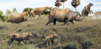 Jihoamerická megafauna pozdního pleistocénu byla kombinací obřích chudozubých (glyptodoni, lenochodi), dvou řádů endemických kopytníků skupiny Meridiungulata (litopterny, toxodoni) a několika skupin sdílených se Starým světem (např. chobotnatci, koňovití, velké šelmy). Během konce pleistocénu až středního holocénu vyhynulo 80 % neotropické megafauny. V popředí dvojice šavlozubých šelem Smilodon populator, vpravo za nimi Toxodon platensis. V pozadí zleva obrněný Glyptodon clavipes příbuzný pásovcům, dvě litopterny Macrauchenia patachonica, připomínající robustní bezhrbé velbloudy s chobůtkem, a gigantický pozemní lenochod Megatherium americanum. Orig. R. Uchytel, prehistoric-fauna.com, použito v souladu s licenčními podmínkami