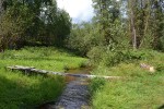 Refugia se netýkají jen minulosti a klimatu, máme je kolem sebe i dnes a nová vznikají vymíráním druhů. Příkladem je refugium perlorodky říční (Margaritifera margaritifera) v bočním rameni říčky Blanice. Nezahrnuje jen biotop, ale k jeho funkci a zachování je nutné i širší krajinné okolí. Velikost a míra zachovalosti refugia nutná k přežití druhu závisí na tom, jak dlouho v něm musí druh vydržet. V případě perlorodky je potřeba refugia co nejdřív zvětšit a zlepšit jejich stav. Foto O. Korábek