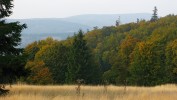 Přítomnost velkých pastvin v těsné blízkosti jedlobučin je typická pro celý karpatský oblouk. Velká Polana v národní přírodní rezervaci Mionší, chráněná krajinná oblast Beskydy. Foto J. Běťák