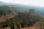 Celkem 18 ha borového porostu na Havraní skále u Jetřichovic bylo zachváceno požárem v r. 2006. Po 9 letech  (snímek z r. 2015) je původně shořelý porost masivně podrostlý především  břízou bělokorou, topolem osikou,  vrbou jívou (Salix caprea) a borovicemi (lesní i vejmutovkou). Foto P. Šamonil