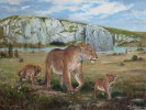 Samice lva jeskynního (Panthera spelaea) s mláďaty. Lvi byli vrcholovými predátory pleistocenní Eurasie. Šavlozubé kočky nebyly zdaleka tak dominantním prvkem mamutí stepi. Poslední lvi (současného druhu P. leo) mizí z Evropy až během starověku. Orig. P. Modlitba (2016)