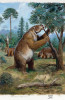 Pozemní lenochod Megatherium americanum. Velcí lenochodi rodů Eremotherium a Megatherium dosahovali hmotnosti až čtyř tun. Pánev těchto gigantů jim umožňovala dočasně se postavit na zadní nohy, a tak dosáhnout do vysokých korun stromů. Stojící M. americanum mohlo dosáhnout až do výšky pěti metrů. Tento druh se objevil během středního pleistocénu a vymírá na konci poslední doby ledové. Jeho nejbližšími příbuznými jsou dnešní tříprstí lenochodi (čeleď Bradypodidae). Orig. P. Modlitba (2021)