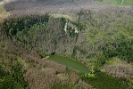 Plešné jezero na Šumavě, jediná lokalita šídlatky ostnovýtrusé v ČR.  Foto P. Znachor