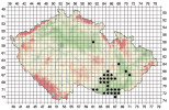 Mapa aktuálního rozšíření síťnatky dubové (Corythucha arcuata) v České republice. Orig. K. Hradil