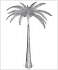 Rekonstrukce stromovité kapradiny rodu Psaronius. Orig. J. Morgan, The Morphology and Anatomy of American Species of the Genus Psaronius (1959), Wikimedia Commons