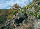 Biotop sklípkánka hnědého – řídká zakrslá suchá doubrava na skalnatých svazích. Kobylí draha ve středním Povltaví. Foto P. Mudra