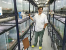Interiér přísně střežené stanice ve výzkumném centru Smithsonian Institute Gamboa v Panamě a její zakladatel Roberto Ibañez. Zde jsou umístěny záchranné chovy žab postižených vymíráním vlivem chytridiomykózy. Foto B. Gratwicke
