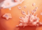 Apoptóza. Staré, opotřebované,  nepotřebné neboli zmutované buňky  jsou z těla odstraňovány programovanou buněčnou smrtí zvanou též apoptóza.  Po zahájení apoptózy vnější nebo vnitřní cestou se v buňce tvoří proteinové  komplexy, které degradují buněčný obsah. Finálním stadiem programované buněčné smrti je tvorba apoptotických tělísek a jejich pohlcení okolním  fagocytem. Kresba v programu  Adobe Photoshop. Orig. L. Pokorná  (1. místo, Vědecká ilustrace  a virtuální příroda)