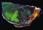 Temná strana minerálů. V přítomnosti viditelného světla můžeme  obdivovat mnohdy  až neuvěřitelné tvary a barvy minerálů.  Za použití „černého světla“ se nám však  otevírá cesta k jejich temné straně.  Některé minerály jsou totiž schopné luminiscence (fluorescence a fosforescence)  a po excitaci vyzařují  viditelné světlo  celé škály barev.  Na snímku  zkamenělé dřevo.  První místo v kategorii Vědecká fotografie,  10. ročník soutěže  Věda je krásná.  Foto M. Macháček