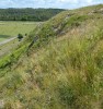 Severozápadně orientované sádrovcové svahy hřbetu Boldy u Čortovce porůstají svéráznou vegetací s dominancí ovsíře stepního (Helictotrichon desertorum) a zastoupením dalších druhů s výrazně roztříštěným areálem – žluťuchou Thalictrum petaloideum, violkou Viola jooi a chudinou Draba podolica. Foto J. Roleček