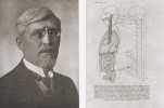 Fyziolog a první rektor Vysoké školy zvěrolékařské v Brně Edward Babák (1873–1926) v r. 1920 a příloha z II. dílu jeho Tělovědy (1924) podle vlastního náčrtu. Foto: Literární atlas československý 2. (B. Vavroušek, ed., Praha 1938)