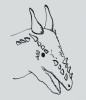 Předpokládaný vzhled dinosaura Stygimoloch spinifer. Orig. T. Pavlík