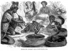 Zaklínači hadů a kobra indická  (Naja naja). Orig. A. Brehm, Tierleben (Lipsko, 1877)