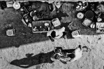 Připravím ti omamný nápoj. Jsem tvá múza. Budeš bystrý a plodný. Súdán, Chartúm, geoarcheologická expedice. Foto P. Lisý, Geologický ústav.  Kategorie Múzy ve vědě (3. místo)