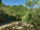 Biotop velemloka čínského (Andrias davidianus). Šen-si, Čína. Foto I. Rehák