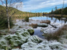 Plešné jezero – jeden z přítoků.  Říjen 2021. Foto J. Kopáček